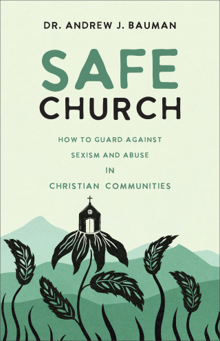 Cover image: Safe Church 9781540903976