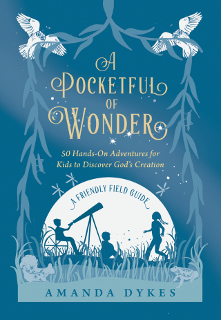 Imagen de portada: A Pocketful of Wonder 9780764242939