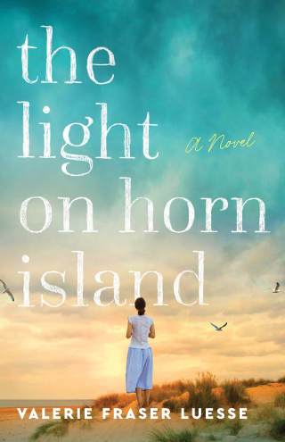 Omslagafbeelding: The Light on Horn Island 9780800741617