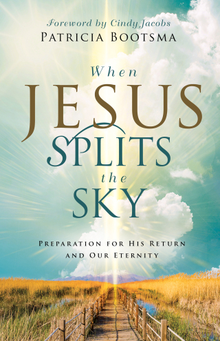表紙画像: When Jesus Splits the Sky 9780800772772