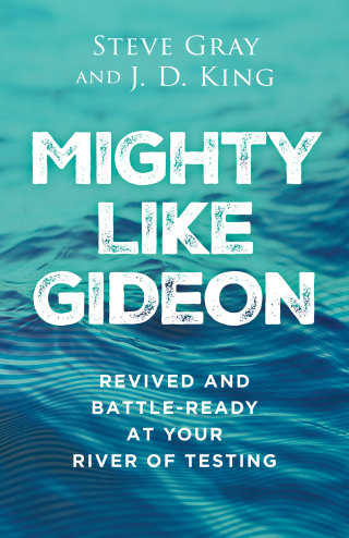 Cover image: Mighty like Gideon 9780800772987
