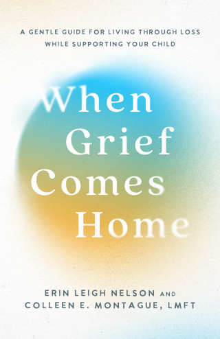 Cover image: When Grief Comes Home 9781540904065