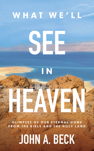 Cover image: What We'll See in Heaven 9781540903846