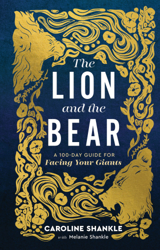 Cover image: The Lion and the Bear 9780800746926