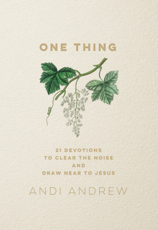 Cover image: One Thing 9781540903501