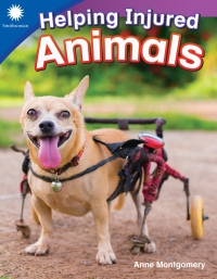 Cover image: Helping Injured Animals 1st edition 9781493866465