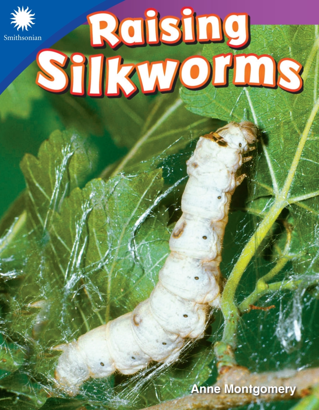 Raising Silkworms 1st Edition