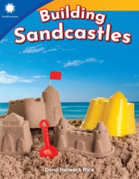 Cover image: Building Sandcastles 1st edition 9781493866533