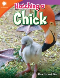 Cover image: Hatching a Chick 1st edition 9781493866618