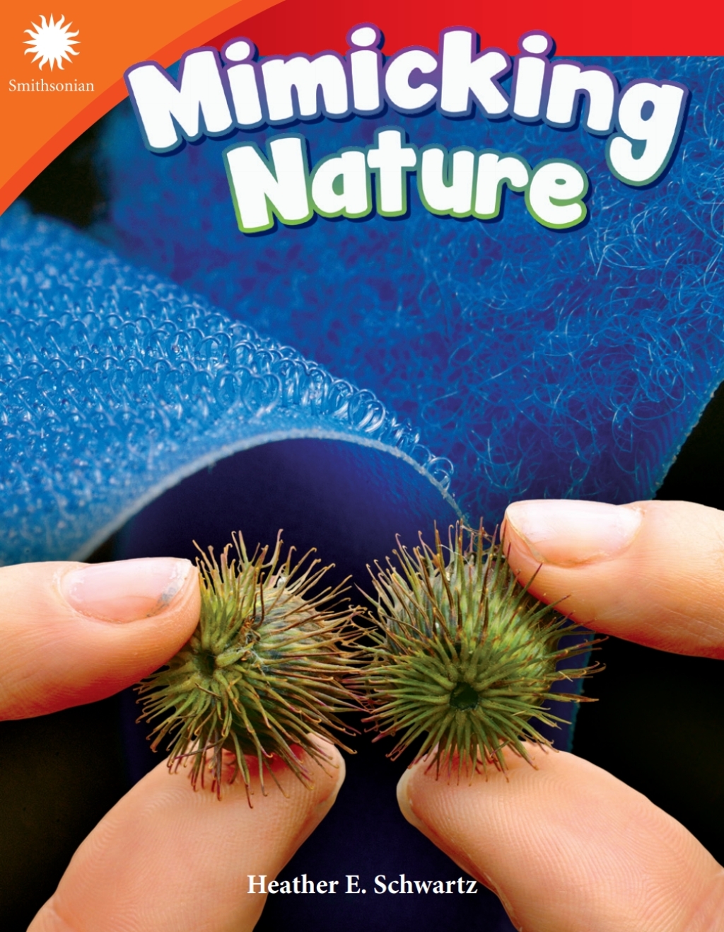 Mimicking Nature 1st Edition