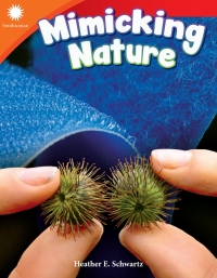 Cover image: Mimicking Nature 1st edition 9781493866755