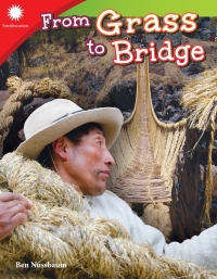 Cover image: From Grass to Bridge ebook 1st edition 9781493866878