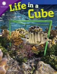 Cover image: Life in a Cube 1st edition 9781493867073