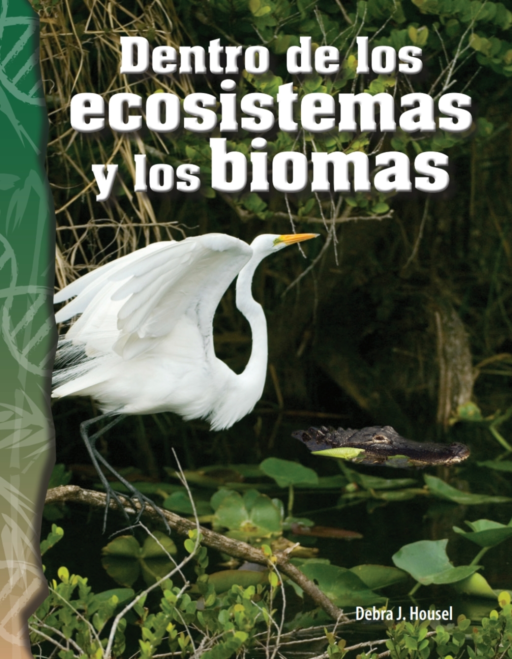 Dentro de los ecosistemas y los biomas (Inside Ecosystems and Biomes) 1st Edition
