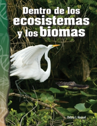 Cover image: Dentro de los ecosistemas y los biomas (Inside Ecosystems and Biomes) 1st edition 9781425832247