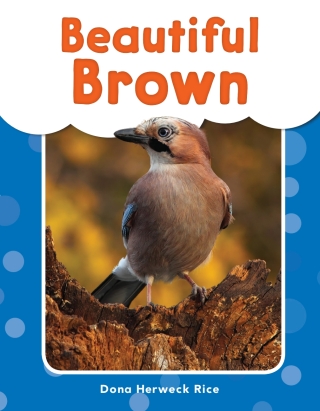 Cover image: Beautiful Brown ebook 1st edition 9781493898145