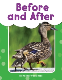 Cover image: Before and After ebook 1st edition 9781493898152