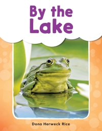 Cover image: By the Lake ebook 1st edition 9781493898404