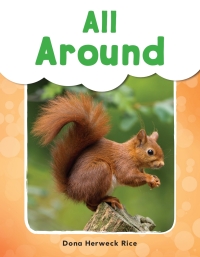 Cover image: All Around ebook 1st edition 9781493898701