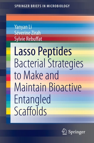 Imagen de portada: Lasso Peptides 9781493910090