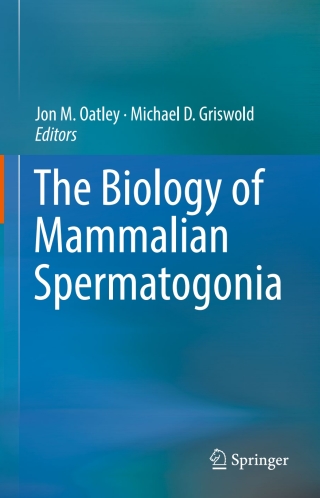Imagen de portada: The Biology of Mammalian Spermatogonia 9781493975037