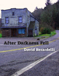 Cover image: After Darkness Fell 9781495600715