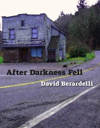 Cover image: After Darkness Fell