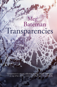 Cover image: Transparencies 1st edition 9781846972591