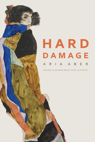 Imagen de portada: Hard Damage 1st edition 9781496215703