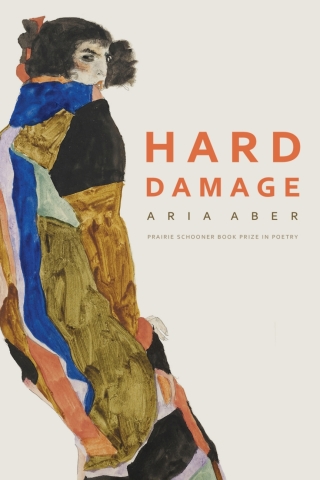 Imagen de portada: Hard Damage 9781496215703
