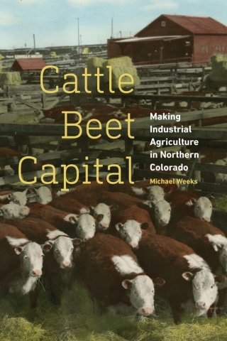 Imagen de portada: Cattle Beet Capital 1st edition 9781496232311