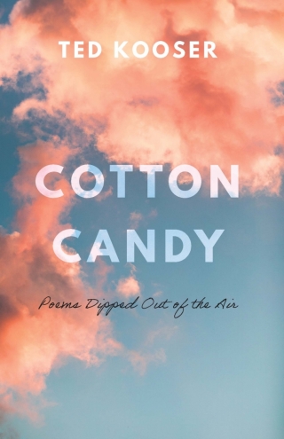 Imagen de portada: Cotton Candy 9781496233523