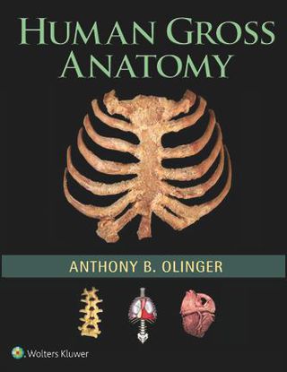 Imagen de portada: Human Gross Anatomy 9781451187403