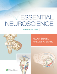 Cover image: Essential Neuroscience 4th edition 9781496382405