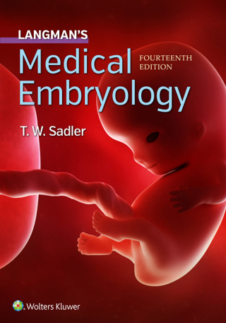 Cover image: Langman's Medical Embryology 14th edition 9781496383907