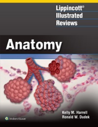 Titelbild: Lippincott® Illustrated Reviews: Anatomy 9781496317902