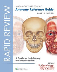 صورة الغلاف: Rapid Review: Anatomy Reference Guide 4th edition 9781496391605