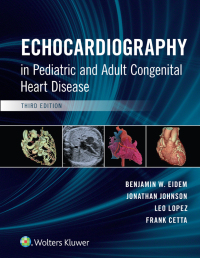 صورة الغلاف: Echocardiography in Pediatric and Adult Congenital Heart Disease 3rd edition 9781496394019