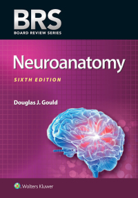 صورة الغلاف: BRS Neuroanatomy 6th edition 9781496396181