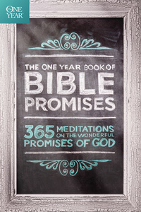 表紙画像: The One Year Book of Bible Promises 9781414316086
