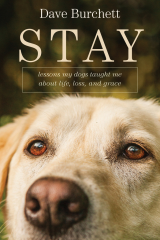 Imagen de portada: Stay 9781414397931