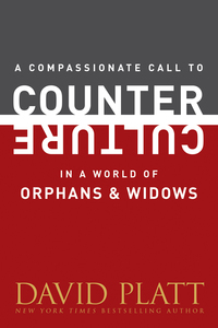表紙画像: A Compassionate Call to Counter Culture in a World of Orphans and Widows 9781496404978