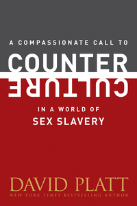Omslagafbeelding: A Compassionate Call to Counter Culture in a World of Sex Slavery 9781496405029