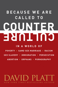Cover image: Because We Are Called to Counter Culture 9781496405333