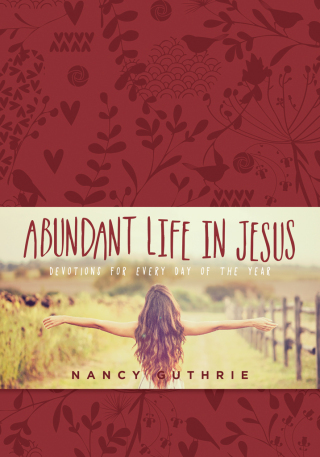Cover image: Abundant Life in Jesus 9781496409485