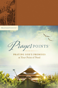 Imagen de portada: PrayerPoints 9781496409508