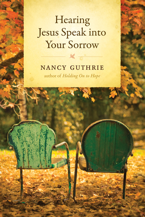 Hearing Jesus Speak into Your Sorrow - FULL INSTANT DOWNLOAD | PDF DOCX EPUB