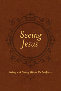 Imagen de portada: Seeing Jesus 9781496416001