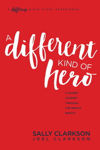 Cover image: A Different Kind of Hero 9781496420374