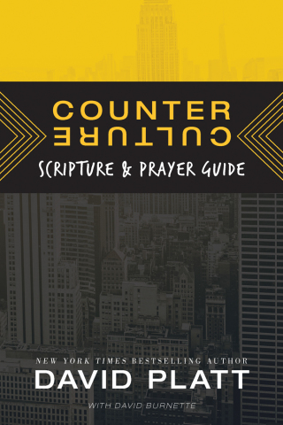 Cover image: Counter Culture Scripture and Prayer Guide 9781496422750